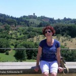 Firenze-le colline viste dalla terrazza giardino d